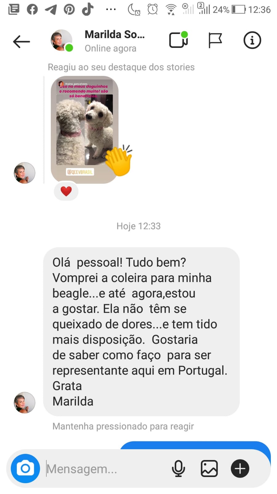 Cão dores