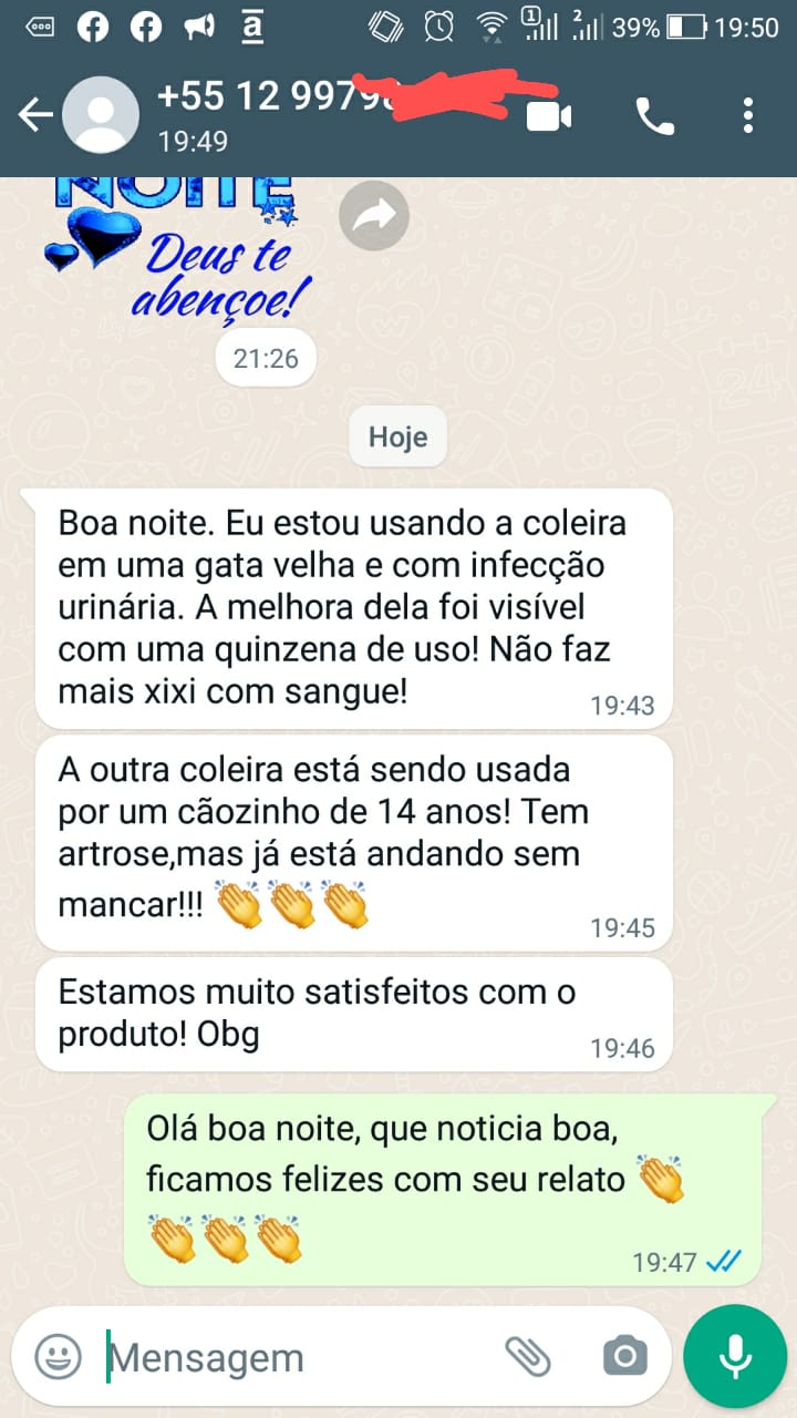 Cao idoso artrose depoimento zap 1