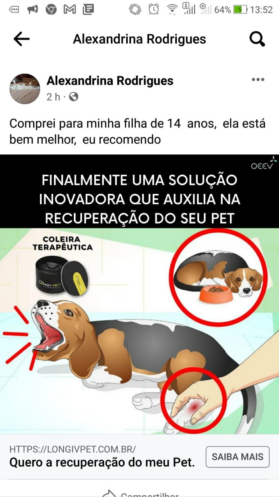 Cão qualidade de vida Depoimento Insta