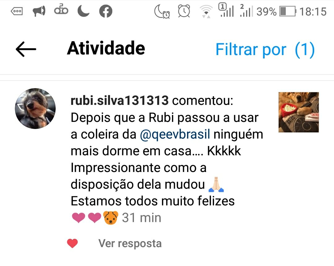 Cão qualidade de vida Depoimento Rubi