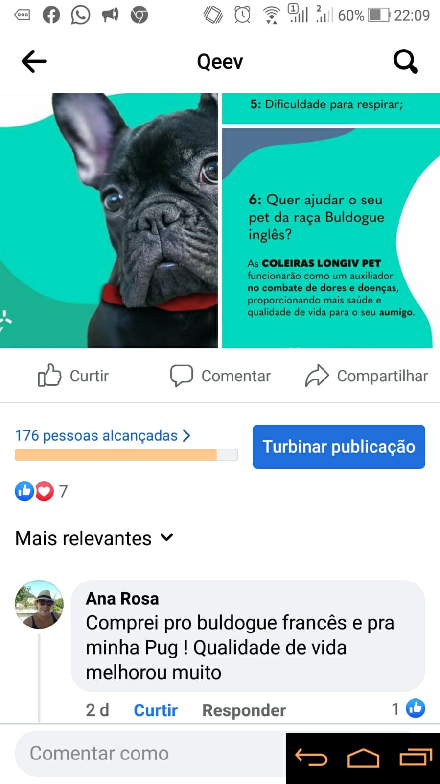 Cão qualidade de vida Depoimento pug