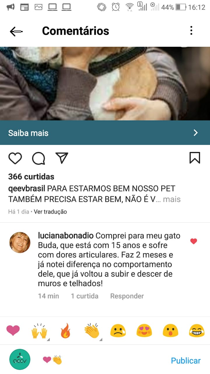 Gato artrite dores articulares Depimento Luciana Banadlo
