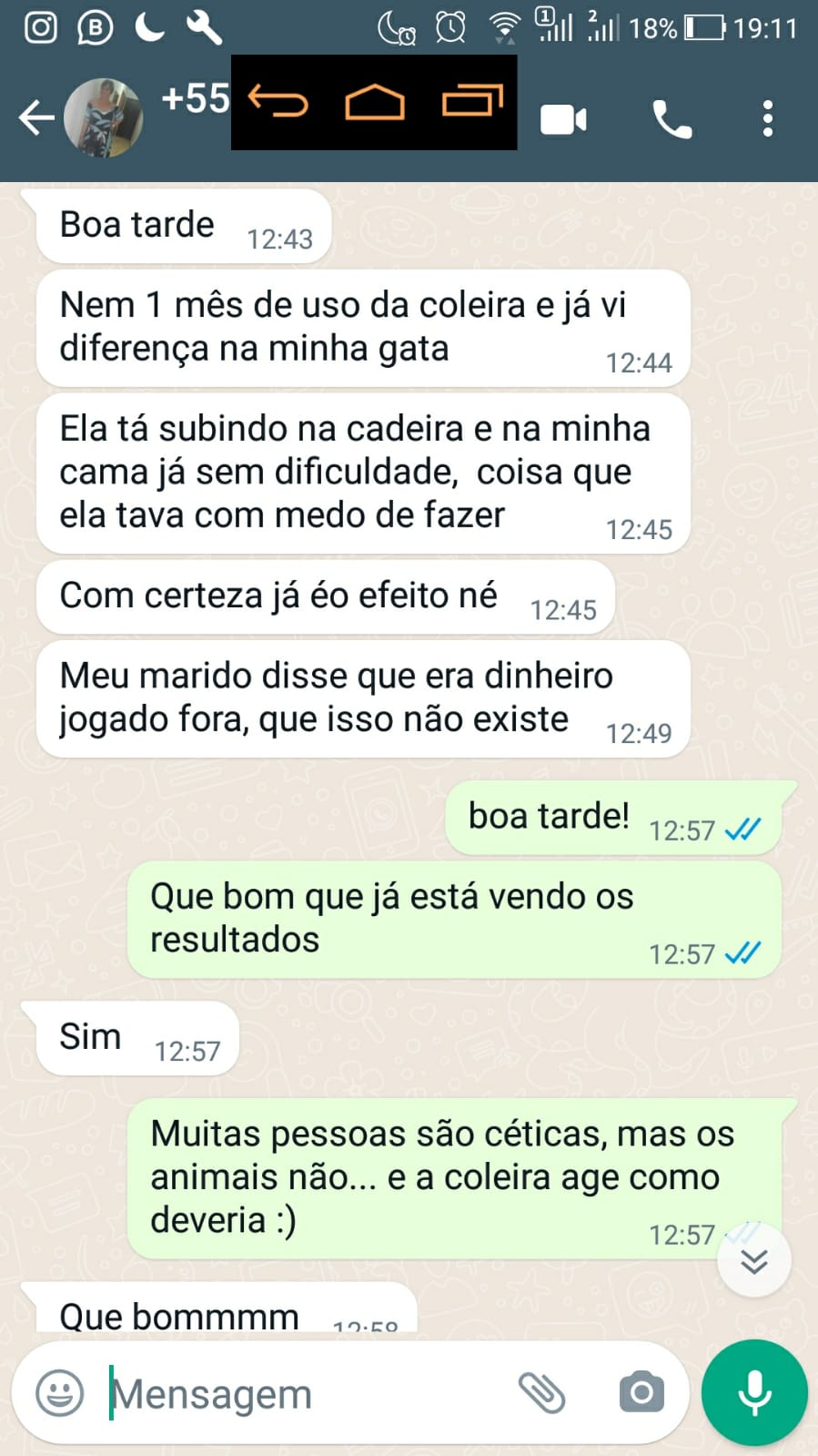 Gato dificuldade subir Depoimento