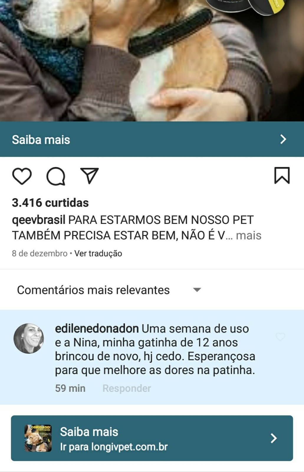 Gato idoso dores na pata Depoimento edilene donadon 1