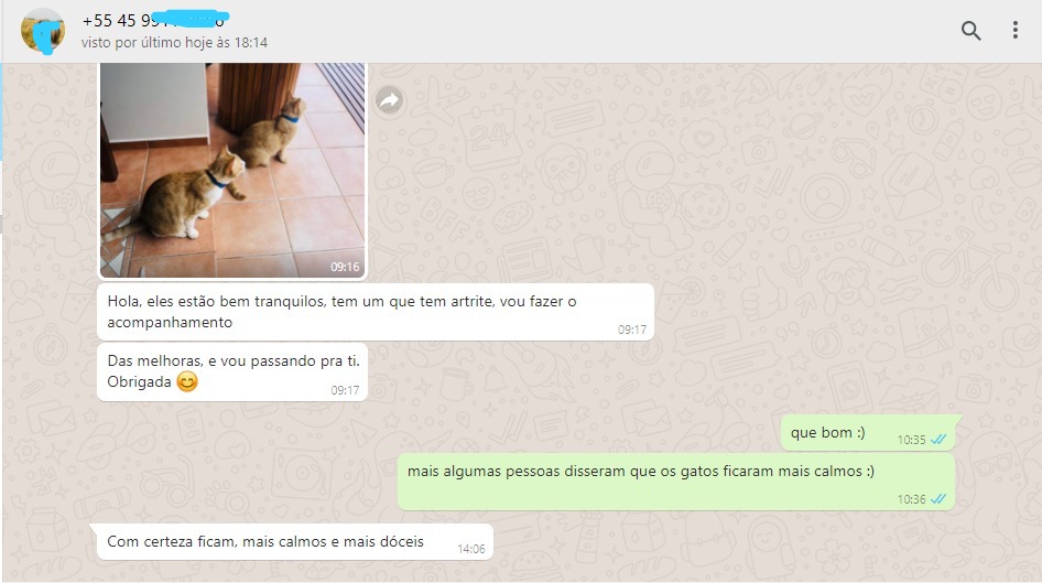Gato tranquilidade artrite Depoimento pc 1