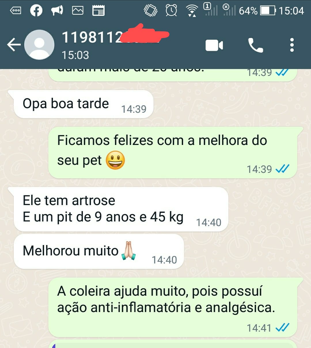 cão artrose Depoimento zap 1
