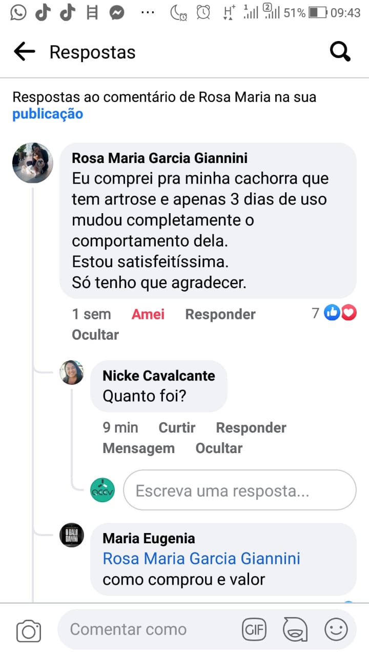 cão artrose fb