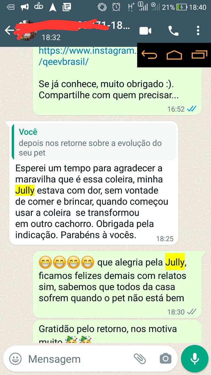 cão dor e sem comer