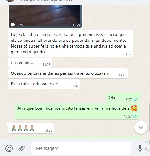 cao dor gritando