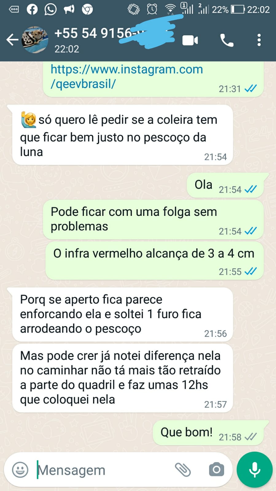 cão dor quadril
