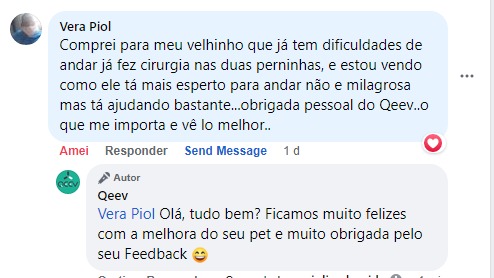 cão idoso - cirurgia pernas