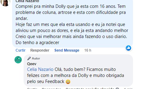 cão idoso - coluna artrite e dificuldade de andar