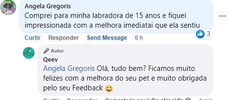 cão idoso labradora 15 anos melhorou