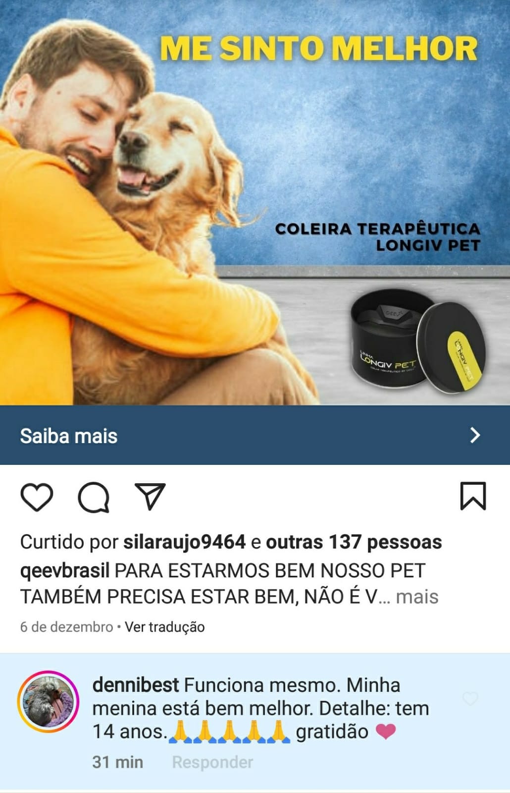 cão idoso qualidade de vida Depoimento Danibest