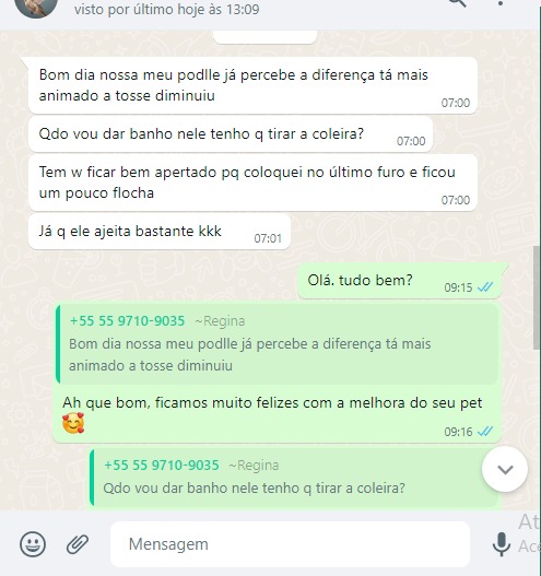 cão qualidade de vida