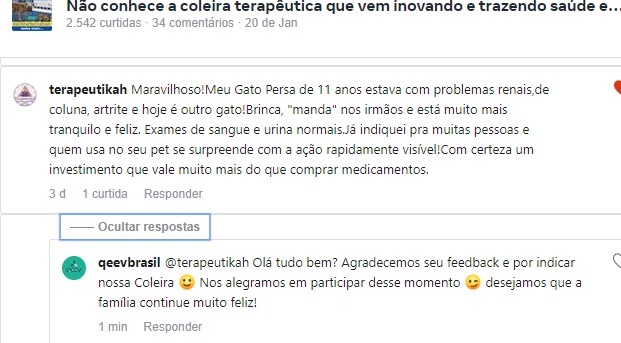 gato artrite e problemas renais e coluna