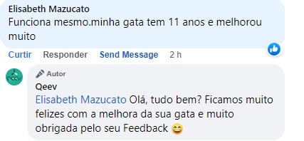 gato1 idoso melhorou